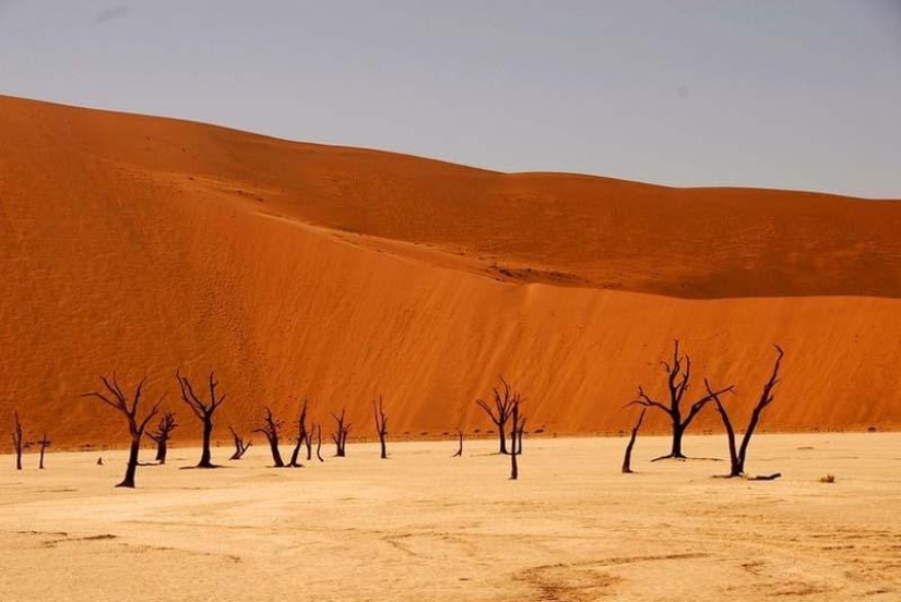 Surreal landscapes of Namib-Naukluft Park Surreal landscapes of Namib-Naukluft Park