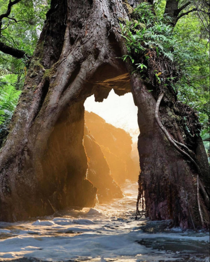 Surrealista manipulación de la foto de Justin Peters