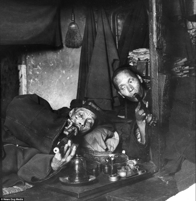 Sweet datura: photos of opium dens in the USA of the XX century Sweet datura: photos of opium dens in the USA of the XX century