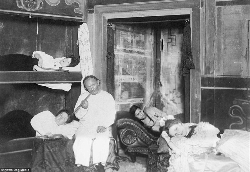 Sweet datura: photos of opium dens in the USA of the XX century Sweet datura: photos of opium dens in the USA of the XX century