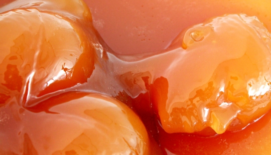 Sweet life and sweet death