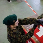 Swiss Armed Forces — why does a country need an army that is not fighting Swiss Armed Forces — why does a country need an army that is not fighting