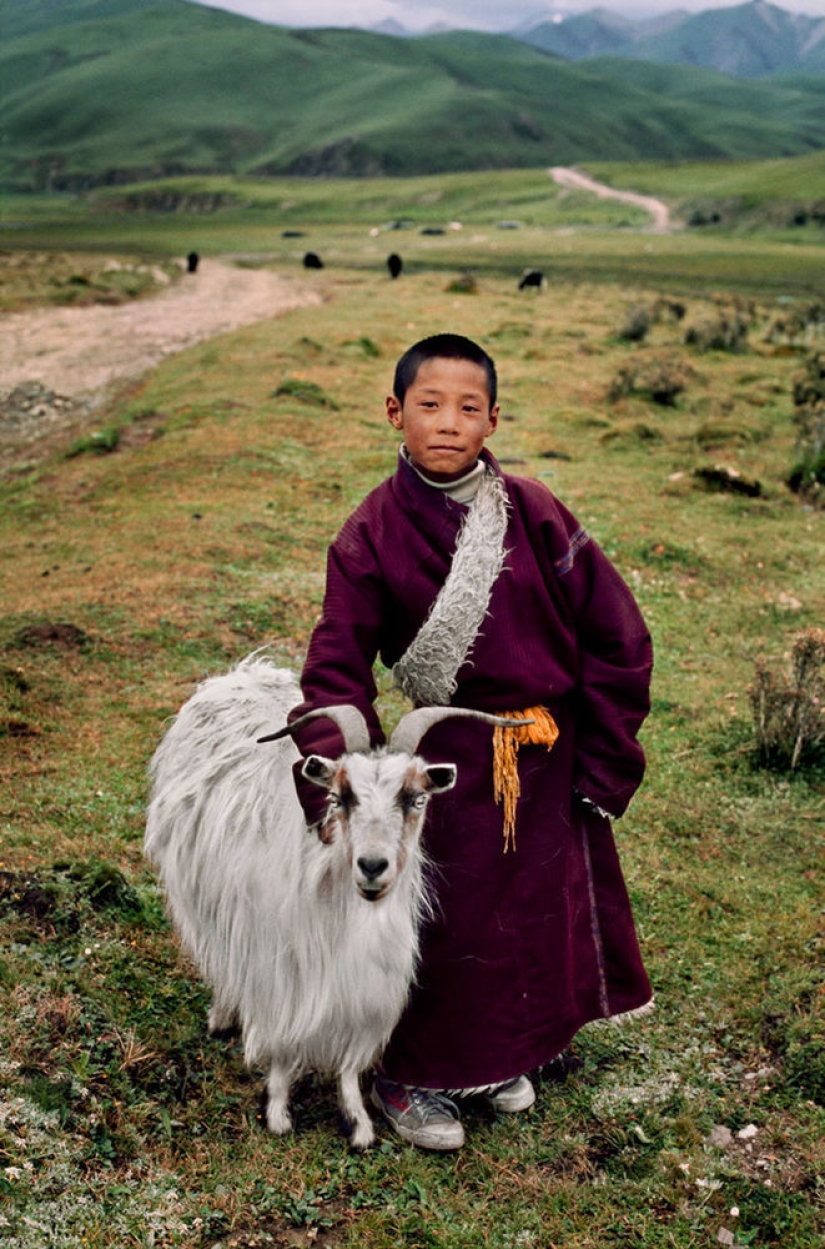 Tú y yo somos de la misma sangre: 35 increíbles fotografías de personas y animales de Steve McCurry Tú y yo somos de la misma sangre: 35 increíbles fotografías de personas y animales de Steve McCurry