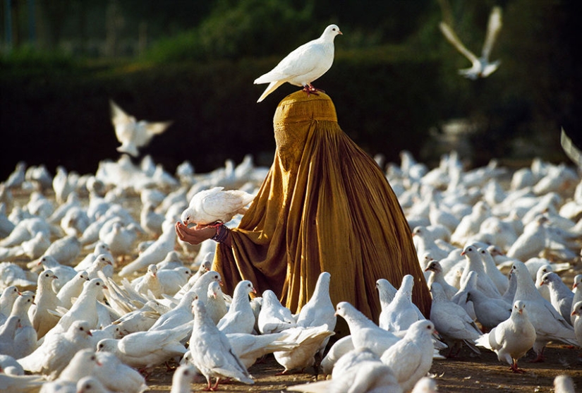 Tú y yo somos de la misma sangre: 35 increíbles fotografías de personas y animales de Steve McCurry Tú y yo somos de la misma sangre: 35 increíbles fotografías de personas y animales de Steve McCurry