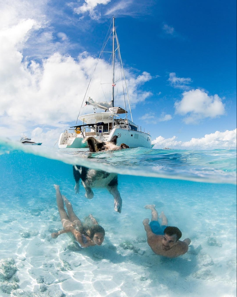 Talented photographer andré Musgrove makes an incredible underwater pictures
