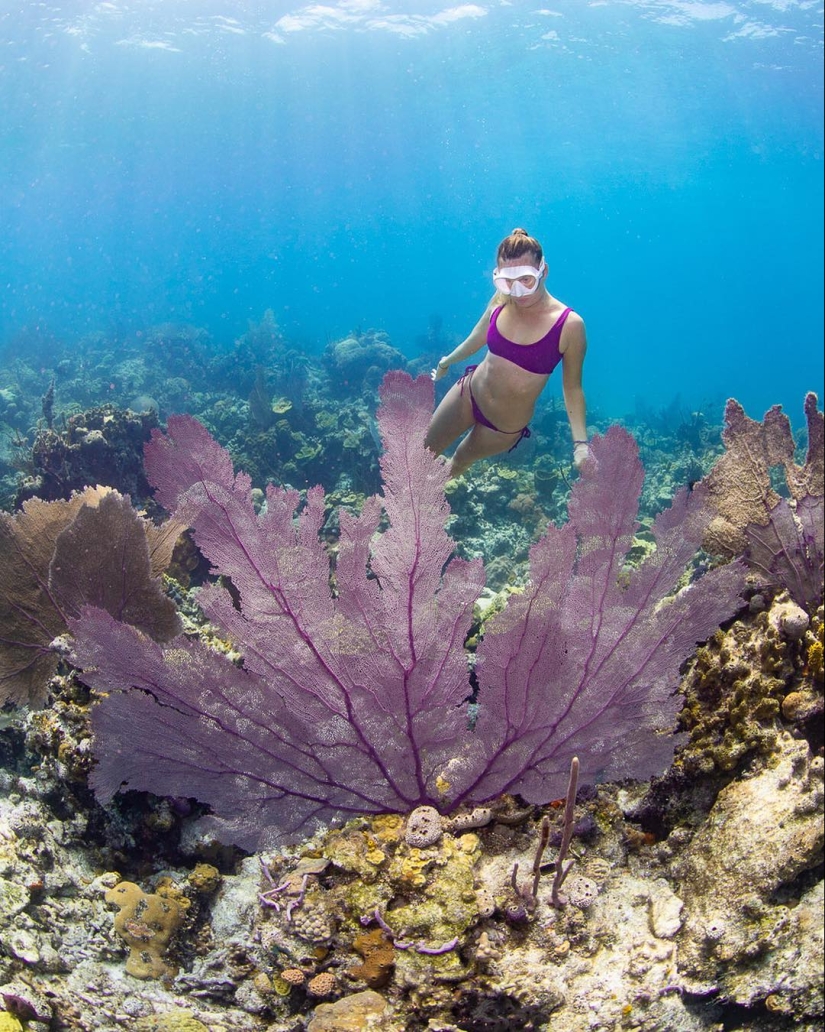 Talented photographer andré Musgrove makes an incredible underwater pictures