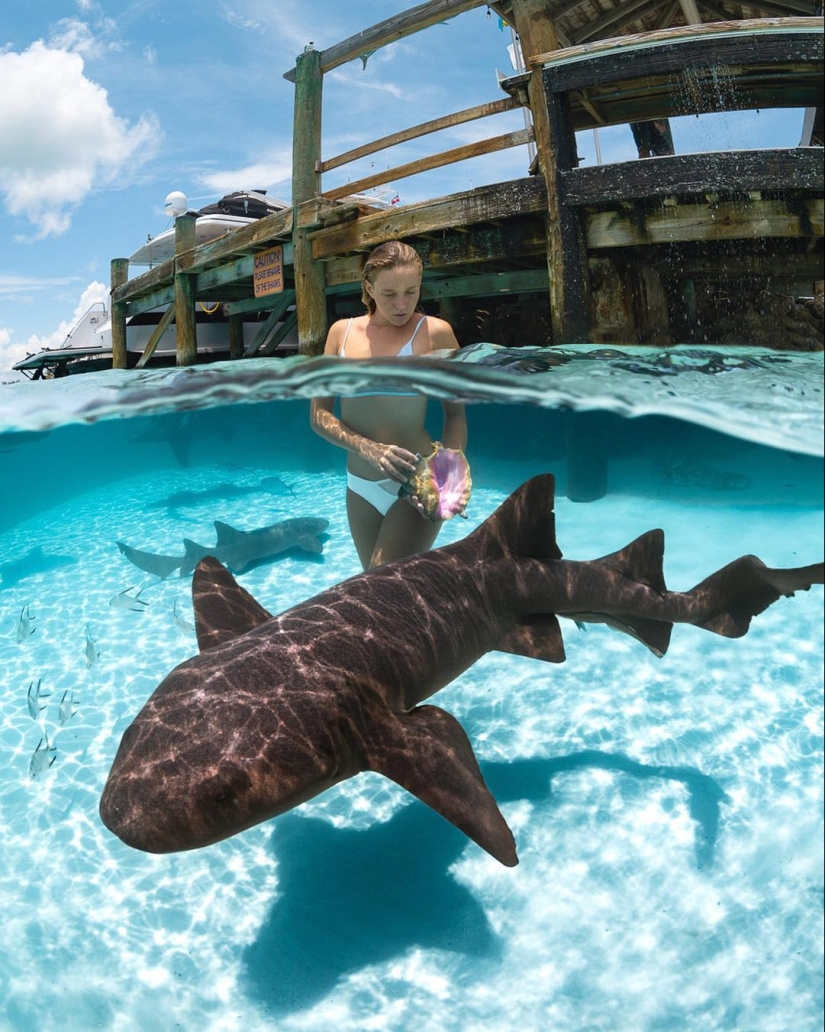 Talented photographer andré Musgrove makes an incredible underwater pictures