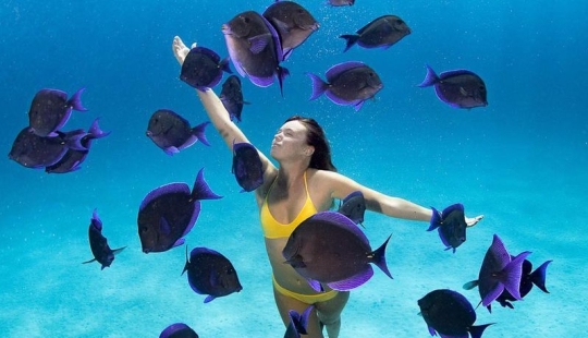 Talented photographer andré Musgrove makes an incredible underwater pictures Talented photographer andré Musgrove makes an incredible underwater pictures