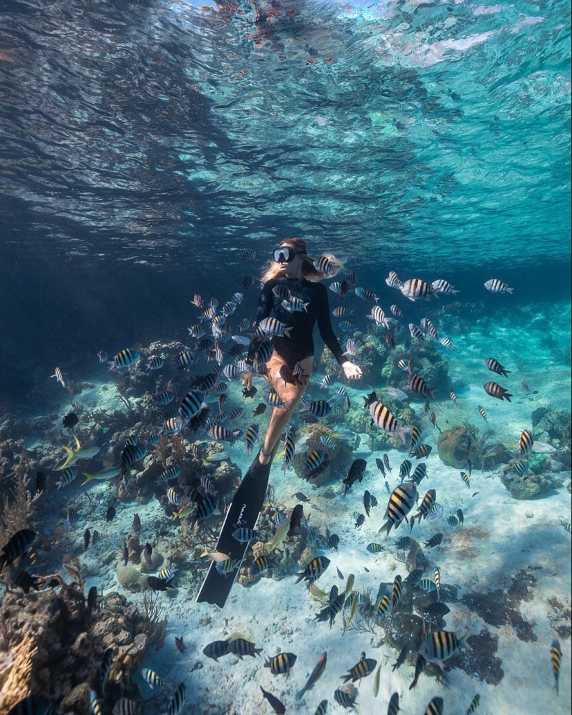 Talentoso fotógrafo andré Musgrove hace una increíble fotos bajo el agua