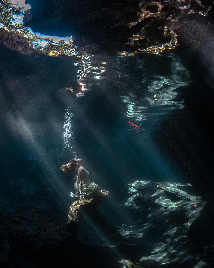 Talentoso fotógrafo andré Musgrove hace una increíble fotos bajo el agua