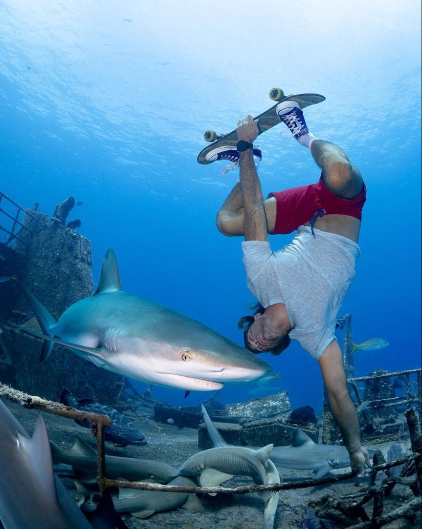 Talentoso fotógrafo andré Musgrove hace una increíble fotos bajo el agua