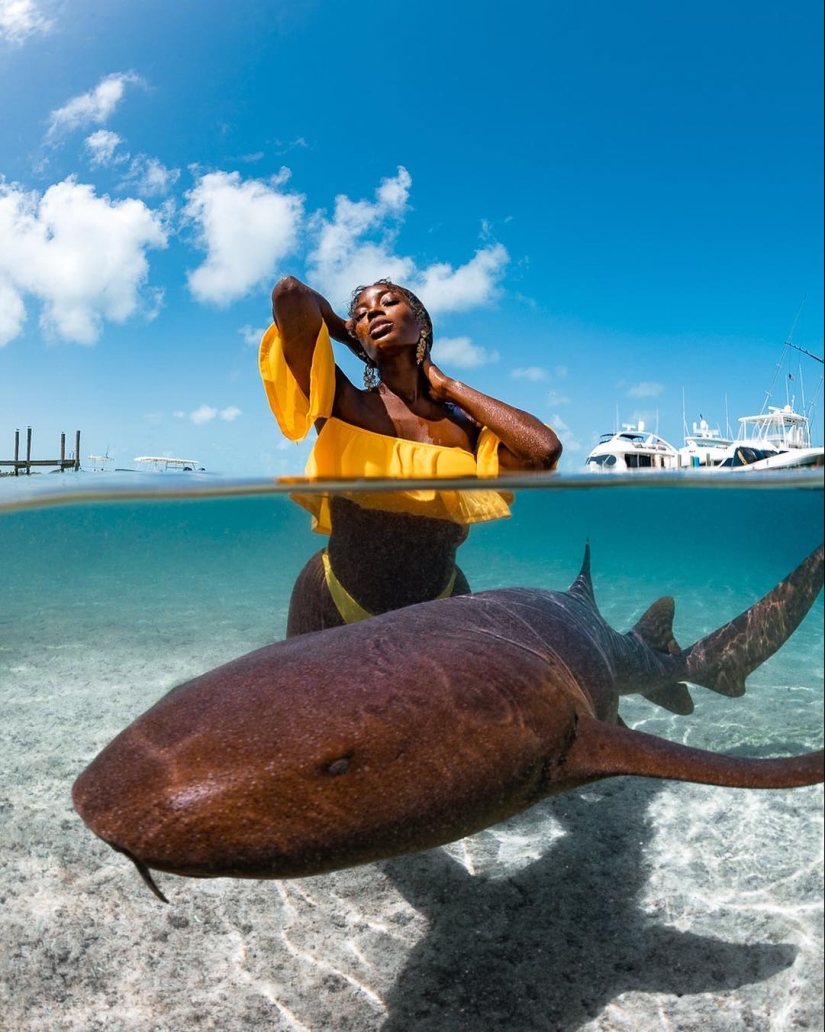 Talentoso fotógrafo andré Musgrove hace una increíble fotos bajo el agua