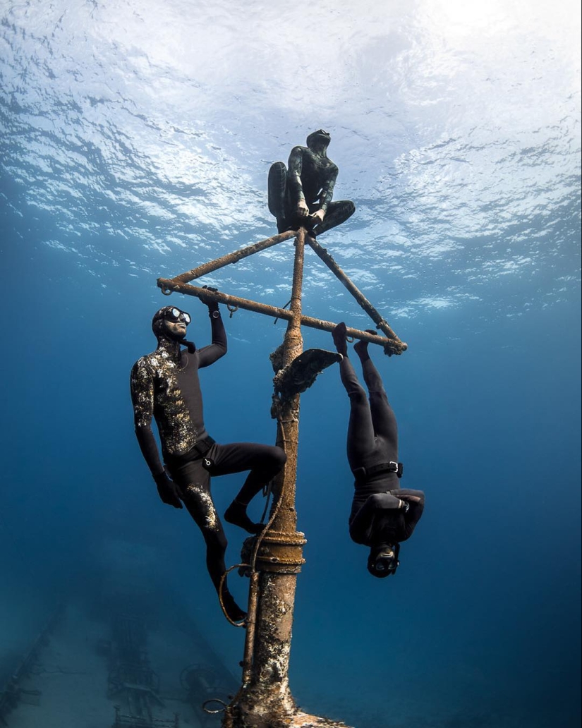 Talentoso fotógrafo andré Musgrove hace una increíble fotos bajo el agua
