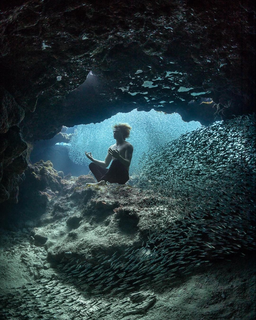 Talentoso fotógrafo andré Musgrove hace una increíble fotos bajo el agua