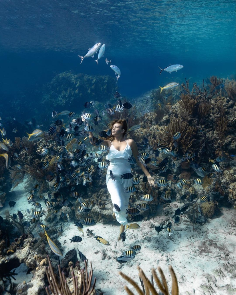 Talentoso fotógrafo andré Musgrove hace una increíble fotos bajo el agua