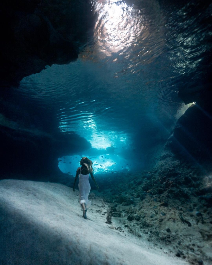 Talentoso fotógrafo andré Musgrove hace una increíble fotos bajo el agua