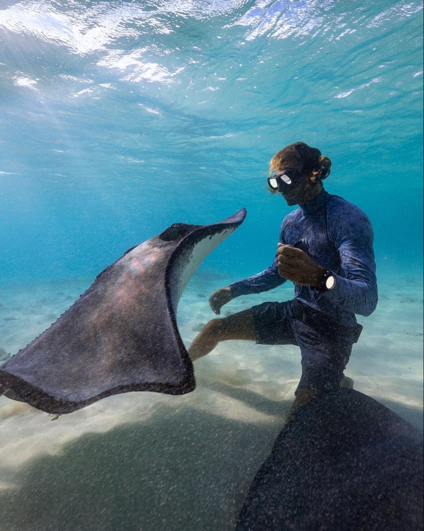 Talentoso fotógrafo andré Musgrove hace una increíble fotos bajo el agua