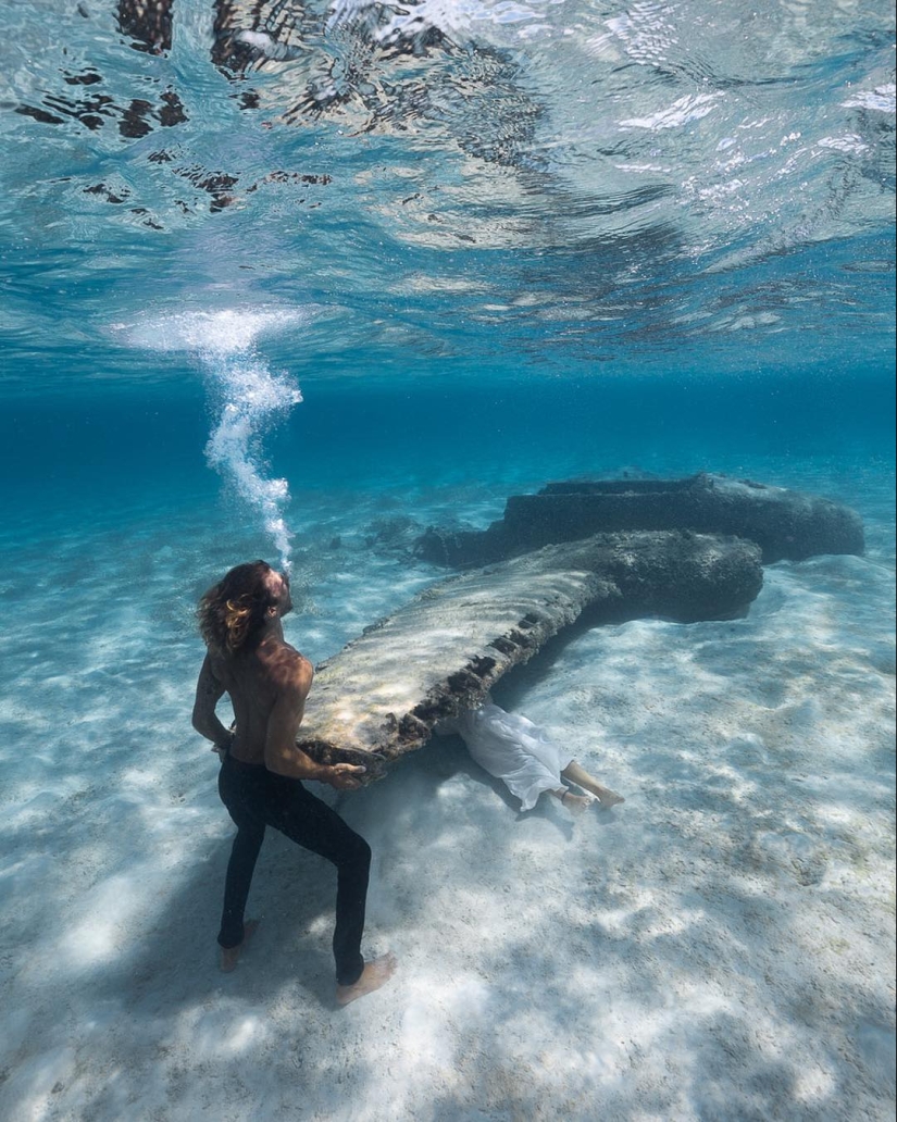 Talentoso fotógrafo andré Musgrove hace una increíble fotos bajo el agua