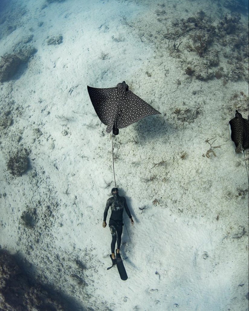 Talentoso fotógrafo andré Musgrove hace una increíble fotos bajo el agua