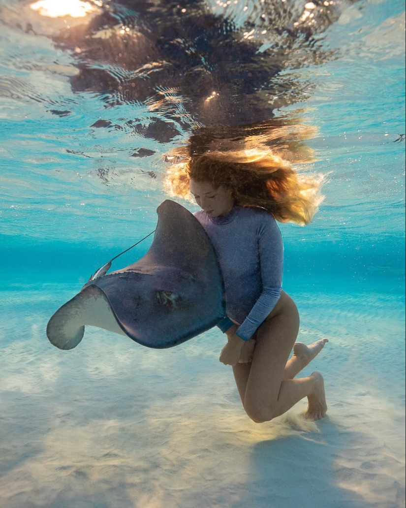 Talentoso fotógrafo andré Musgrove hace una increíble fotos bajo el agua