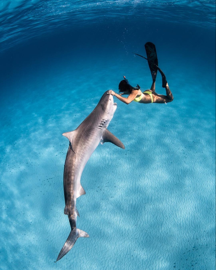 Talentoso fotógrafo andré Musgrove hace una increíble fotos bajo el agua