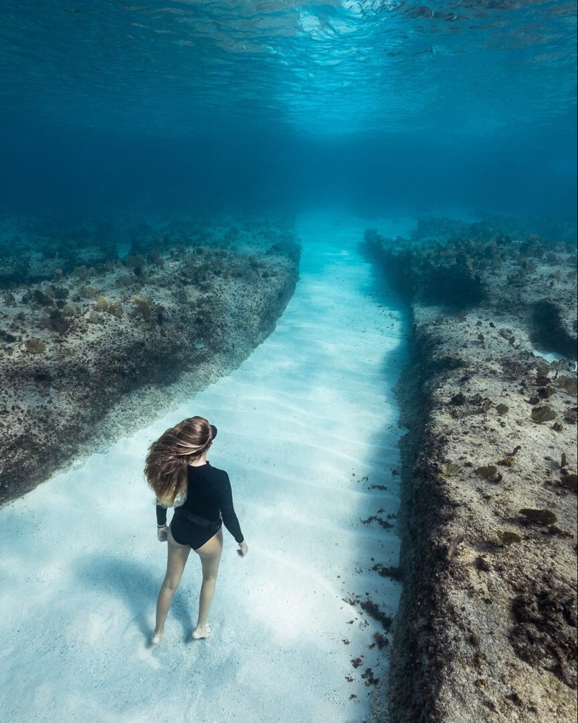 Talentoso fotógrafo andré Musgrove hace una increíble fotos bajo el agua