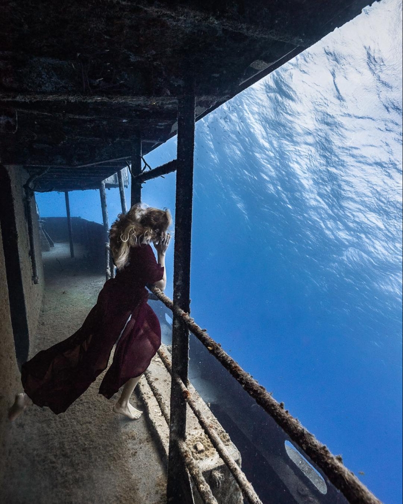 Talentoso fotógrafo andré Musgrove hace una increíble fotos bajo el agua