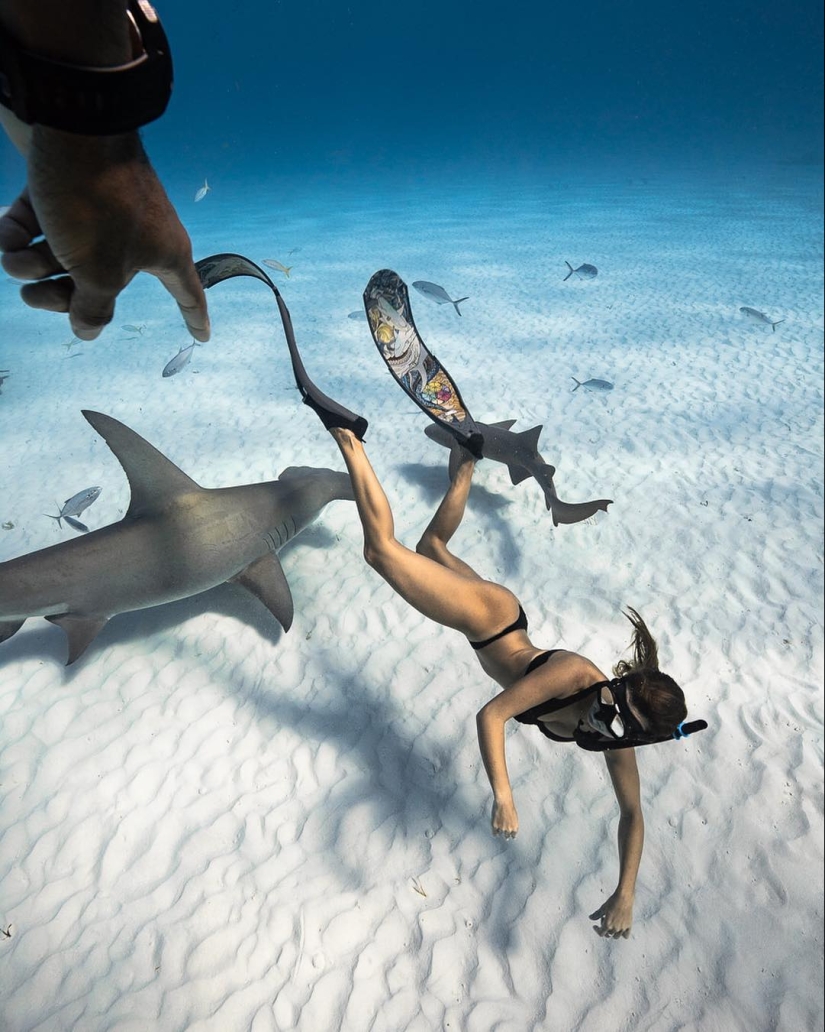 Talentoso fotógrafo andré Musgrove hace una increíble fotos bajo el agua