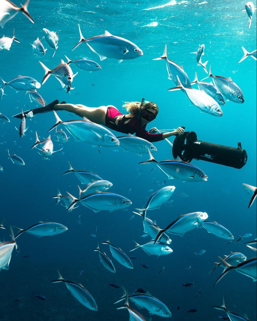 Talentoso fotógrafo andré Musgrove hace una increíble fotos bajo el agua