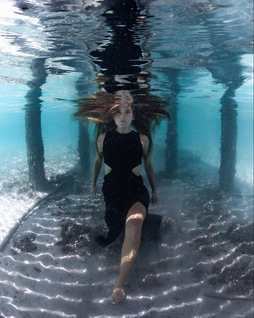 Talentoso fotógrafo andré Musgrove hace una increíble fotos bajo el agua