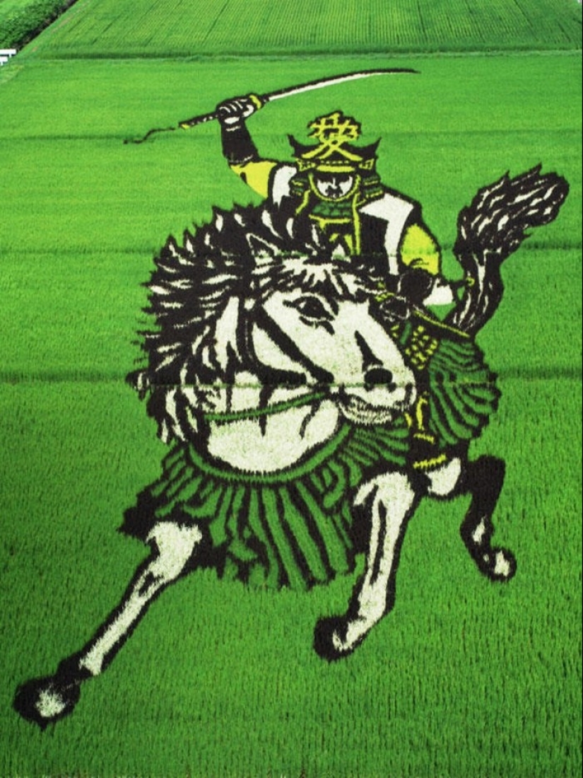 Tambo Art-pinturas increíbles en los campos de arroz de Japón