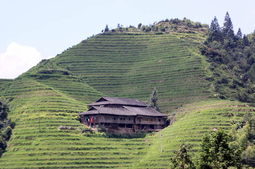 Terrazas de Arroz de Dragon Ridge»