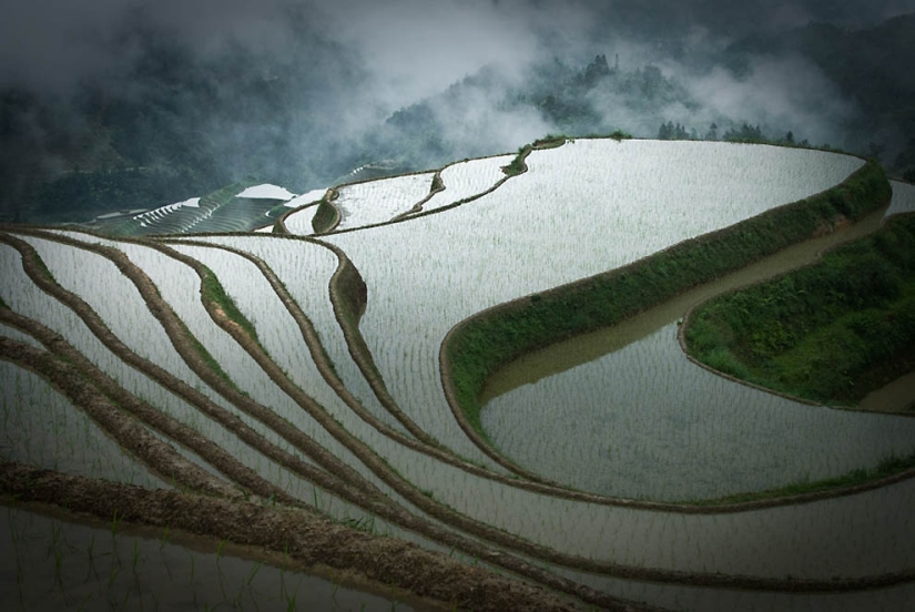 Terrazas de Arroz de Dragon Ridge»