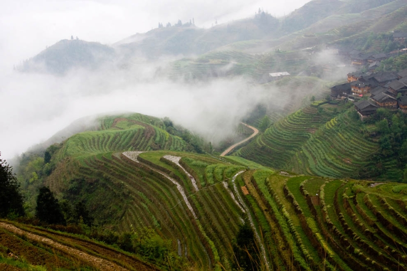 Terrazas de Arroz de Dragon Ridge»