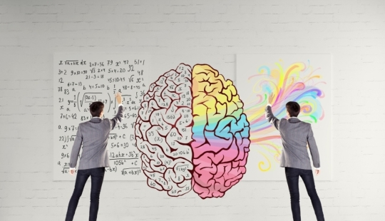 Test: Determine which hemisphere of your brain works better Test: Determine which hemisphere of your brain works better