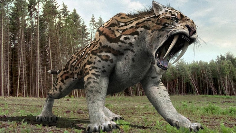 Thank God, they are extinct! 25 awful creatures who once inhabited Earth