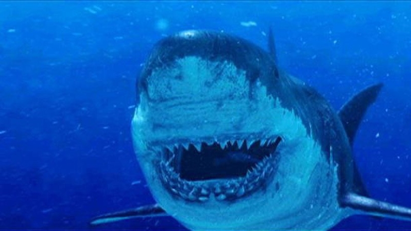 Thank God, they are extinct! 25 awful creatures who once inhabited Earth