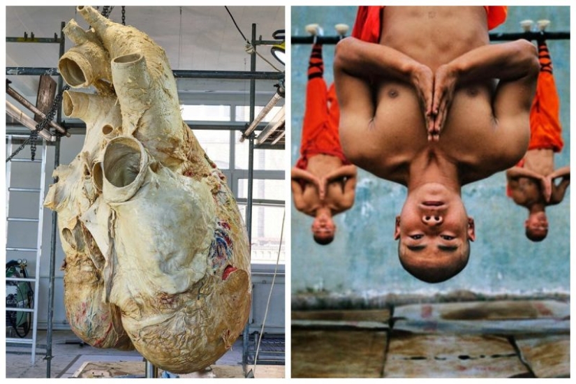 "That's interesting!": 20 unusual, surprising and just interesting facts "That's interesting!": 20 unusual, surprising and just interesting facts
