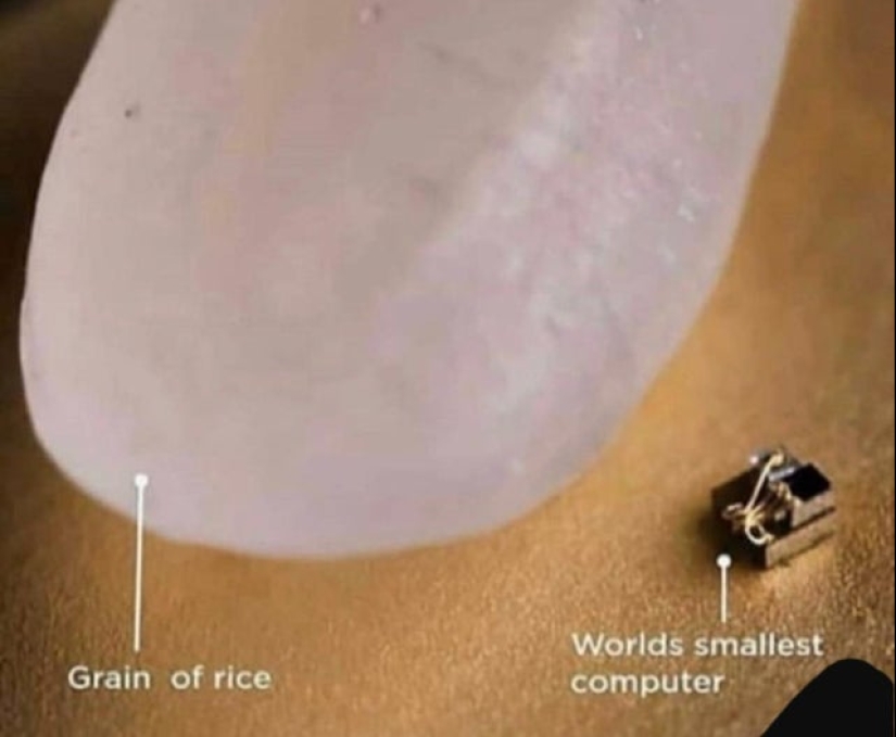 "That's interesting!": 20 unusual, surprising and just interesting facts "That's interesting!": 20 unusual, surprising and just interesting facts