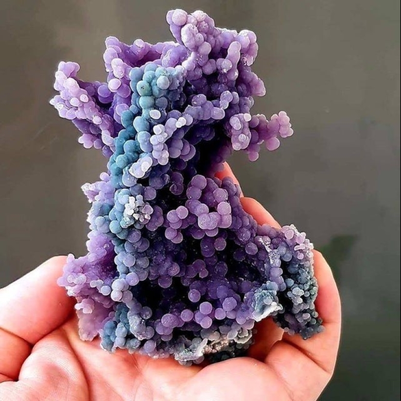 "That's interesting!": 20 unusual, surprising and just interesting facts "That's interesting!": 20 unusual, surprising and just interesting facts