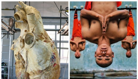"That's interesting!": 20 unusual, surprising and just interesting facts "That's interesting!": 20 unusual, surprising and just interesting facts