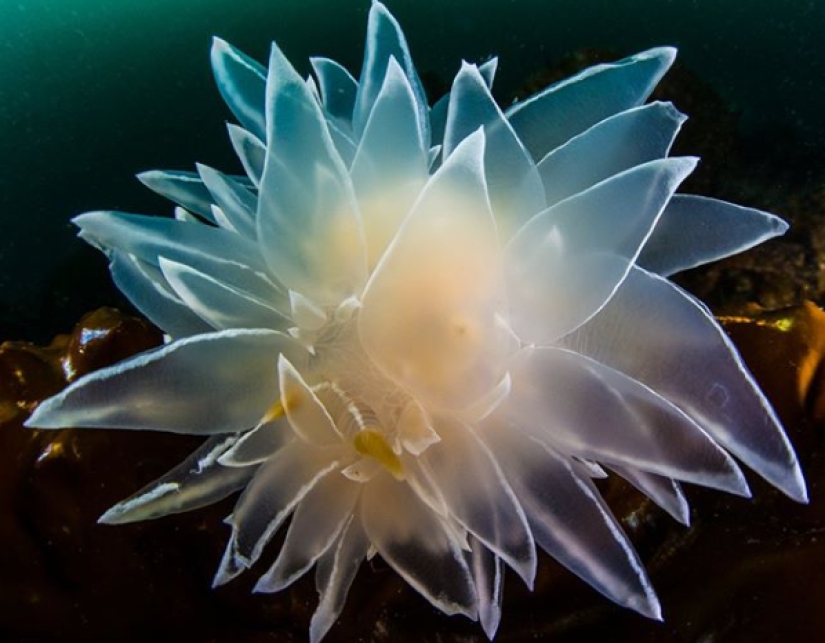 "That's interesting!": 20 unusual, surprising and just interesting facts "That's interesting!": 20 unusual, surprising and just interesting facts