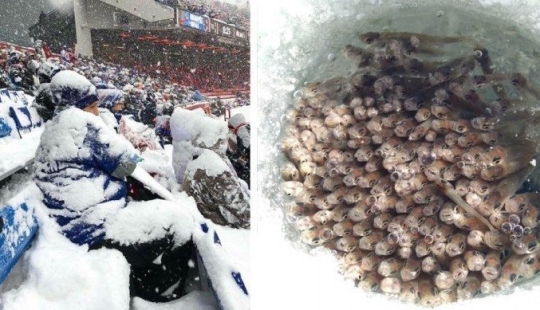 That's what a real winter: 30+ photos that you will be cold That's what a real winter: 30+ photos that you will be cold