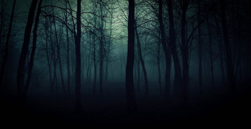 the 7 scariest forests on the planet the 7 scariest forests on the planet