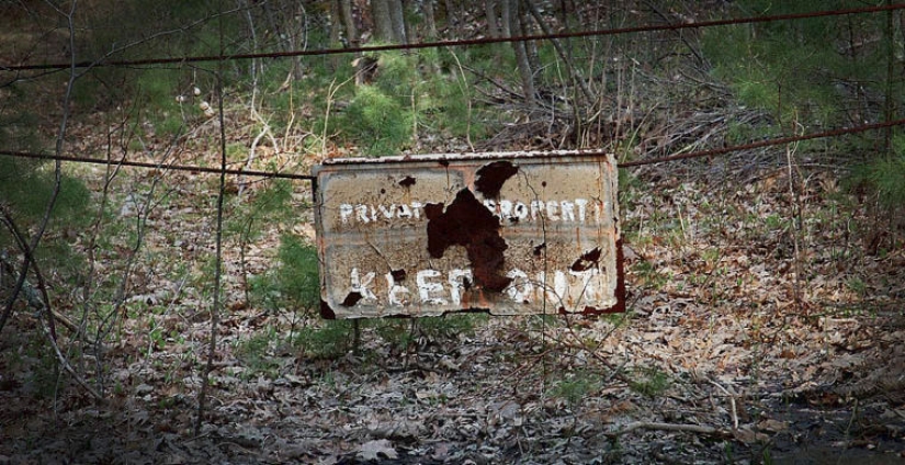 the 7 scariest forests on the planet the 7 scariest forests on the planet