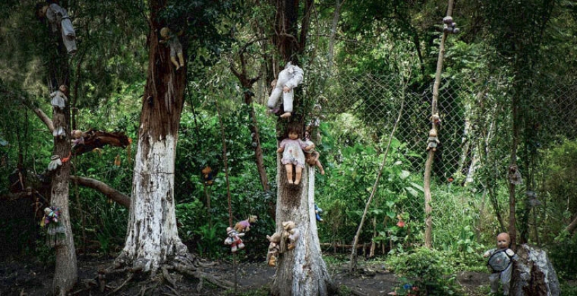 the 7 scariest forests on the planet the 7 scariest forests on the planet