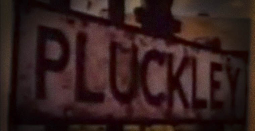 the 7 scariest forests on the planet the 7 scariest forests on the planet