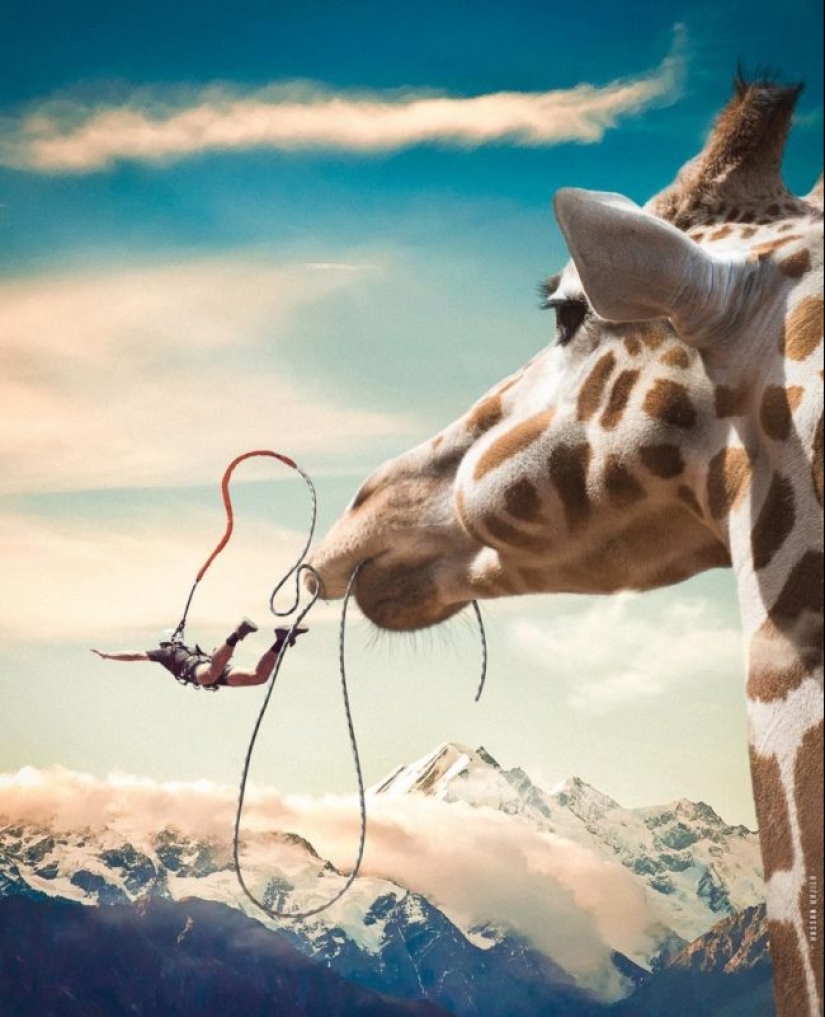 The Amazing Worlds of Hassan Hajil