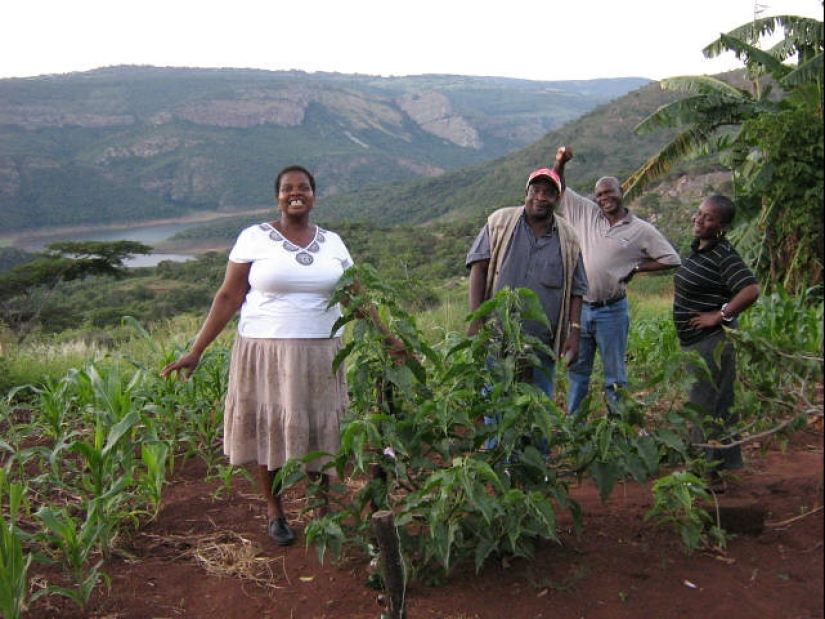 The anomalous Lake Fundudzi is the pearl of South Africa, the water from which cannot be taken away The anomalous Lake Fundudzi is the pearl of South Africa, the water from which cannot be taken away
