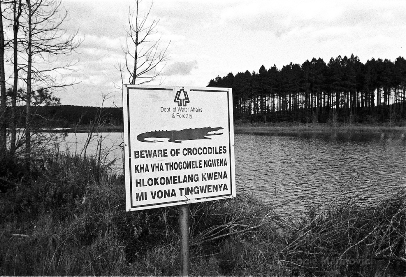 The anomalous Lake Fundudzi is the pearl of South Africa, the water from which cannot be taken away The anomalous Lake Fundudzi is the pearl of South Africa, the water from which cannot be taken away